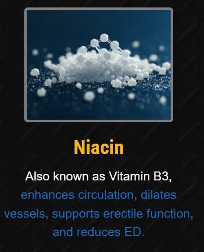 Nitric Boost Ingredients 8